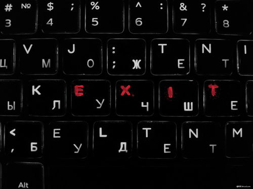 键盘 连接人与计算机的硬件桥梁